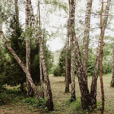 Berzu Namelis - Birch Cabin Kutsyuny 外观 照片