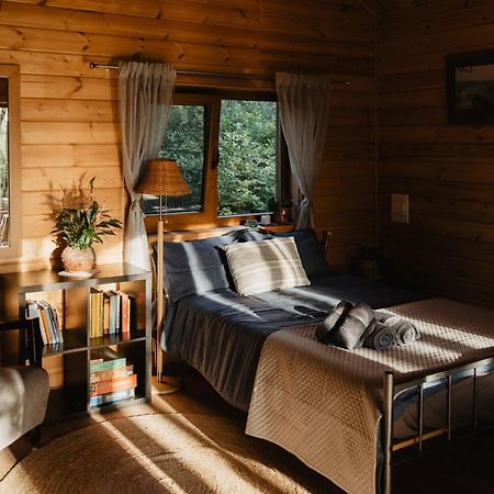 Berzu Namelis - Birch Cabin Kutsyuny 外观 照片