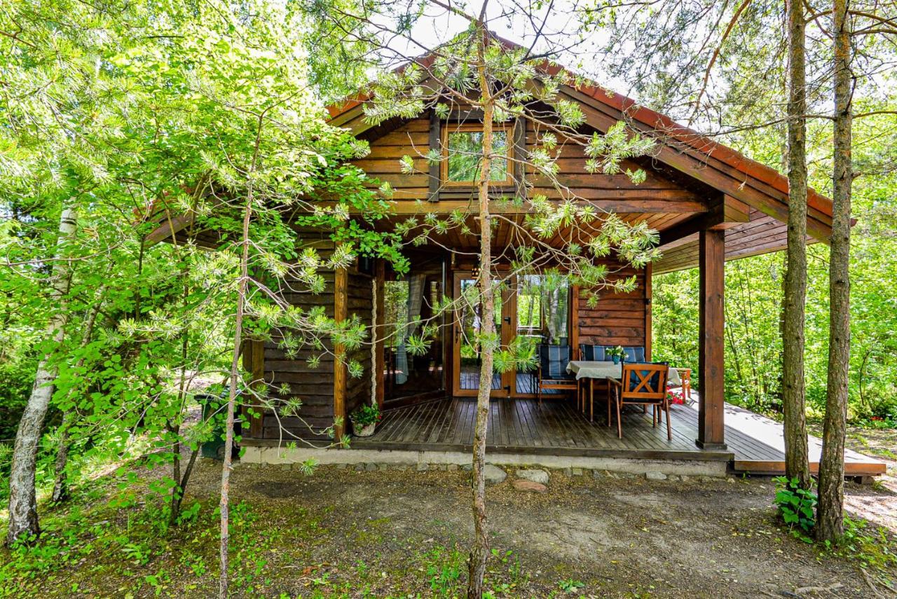 Berzu Namelis - Birch Cabin Kutsyuny 外观 照片