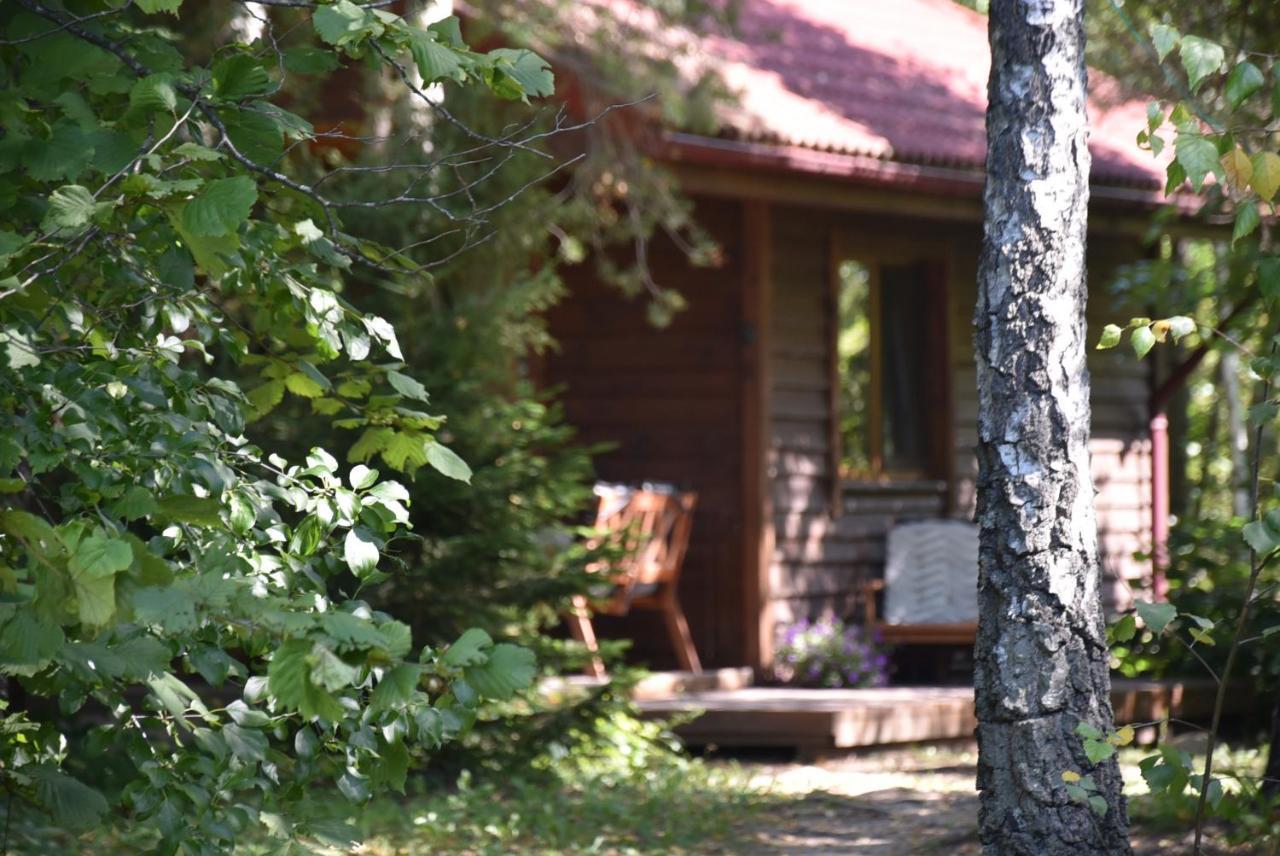 Berzu Namelis - Birch Cabin Kutsyuny 外观 照片