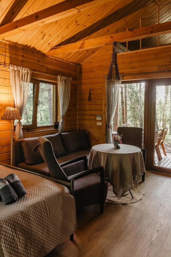 Berzu Namelis - Birch Cabin Kutsyuny 外观 照片