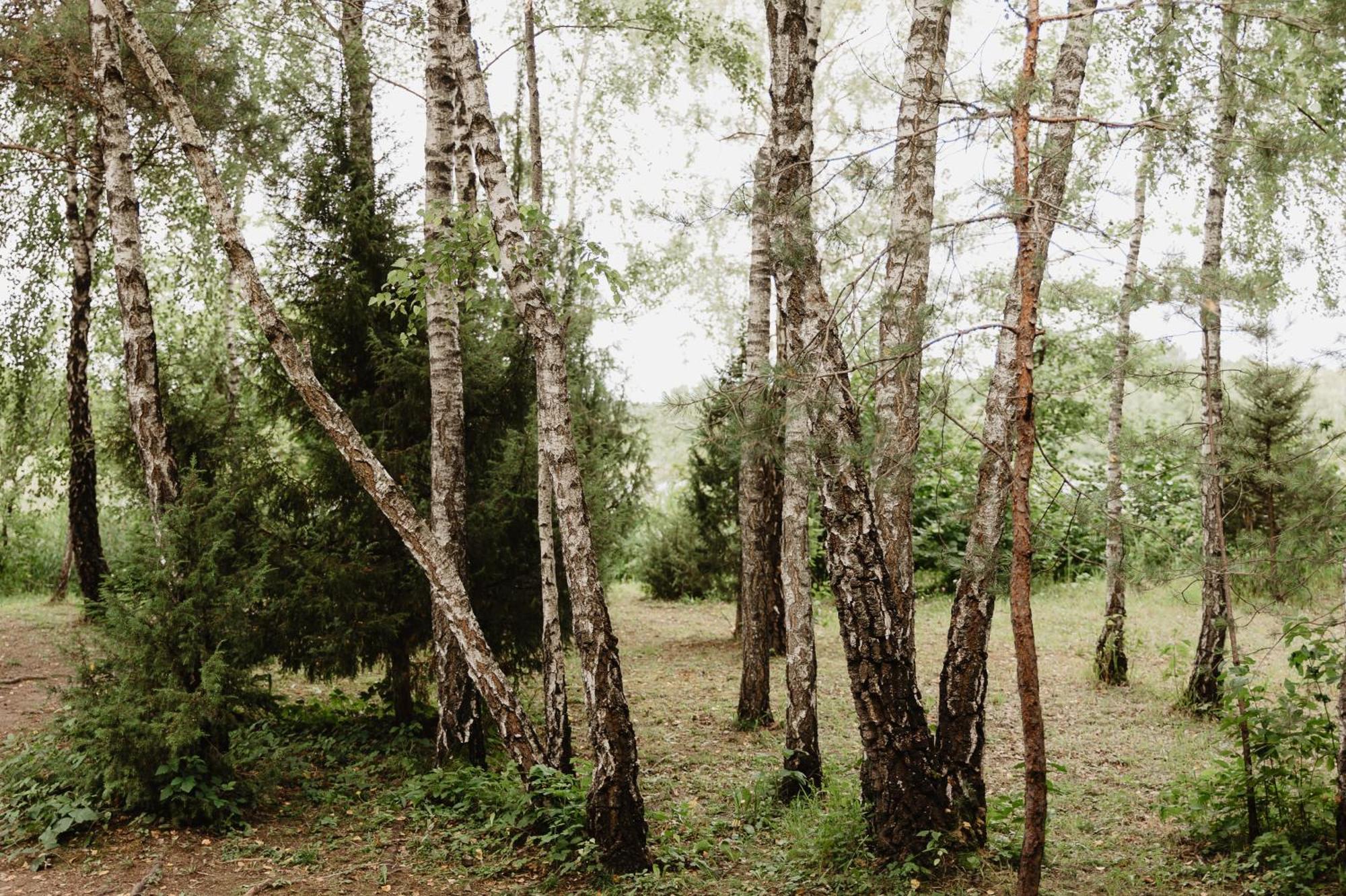 Berzu Namelis - Birch Cabin Kutsyuny 外观 照片