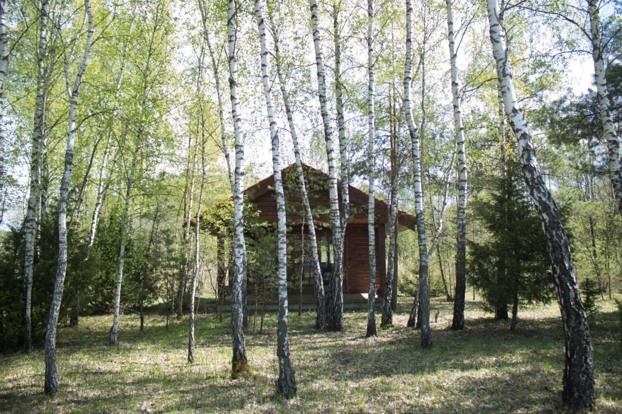 Berzu Namelis - Birch Cabin Kutsyuny 外观 照片